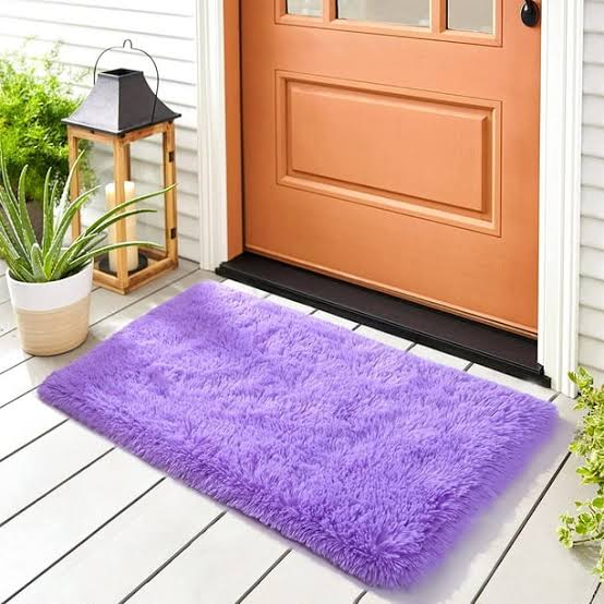 CLEARANCE OFFER Fluffy Absorbent Door Mats