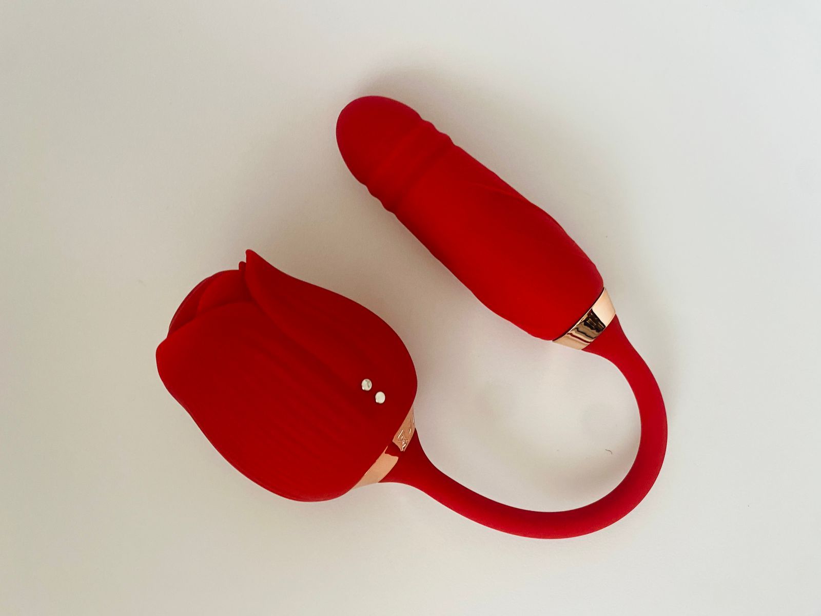 Double Rose Vibrator-2 in 1 vibrator