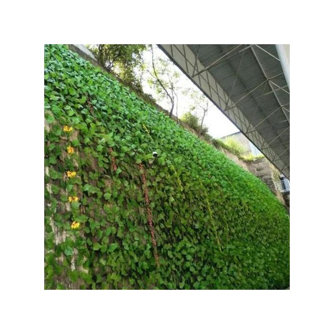 12pcs Rattan Artificial Leaves Vines Leaves Grape Ivy leaf2.2m plant vine hanging Realistic fake leaves flower for wedding wall ,Balcony Privacy Fence Garden Decorative Hedge and Outdoor Decor
