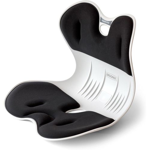 Ergonomic Back Support Chair for Office Chair, Lumbar Support for Posture Correction & Lower Back Pain Relief, Posture Corrector Chair Back Support for Home, Work, Car-large size