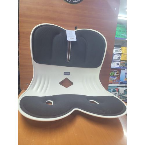 Ergonomic Back Support Chair for Office Chair, Lumbar Support for Posture Correction & Lower Back Pain Relief, Posture Corrector Chair Back Support for Home, Work, Car-large size