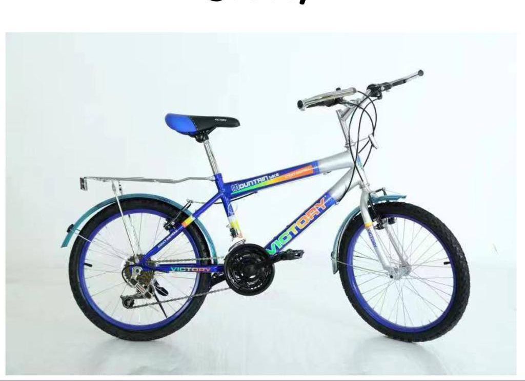 High quality 20'' Victory  bicycles model 2001 with Gear