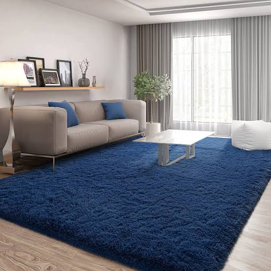 Fluffy Carpet 5×8 ft – Soft Plush Area Rug for Living Room & Bedroom, Super soft and fluffy texture for cozy comfort, Enhances warmth and reduces cold floors, Stylish design.