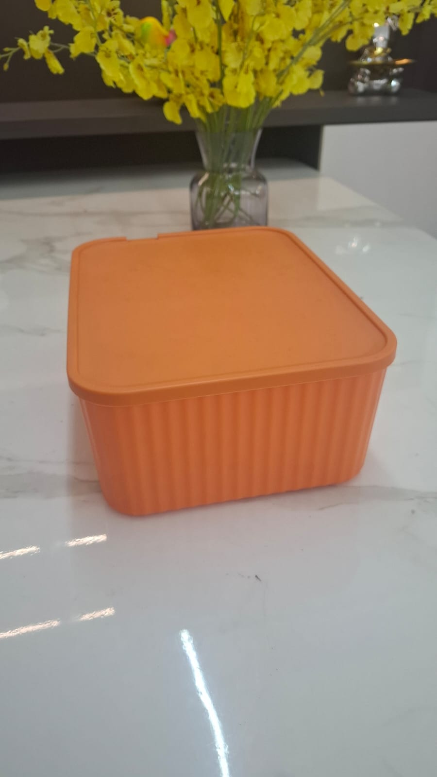 Hot selling Homart Household One Piece Storage  Organizer Underwear organizer Snack Household storage containers 6359