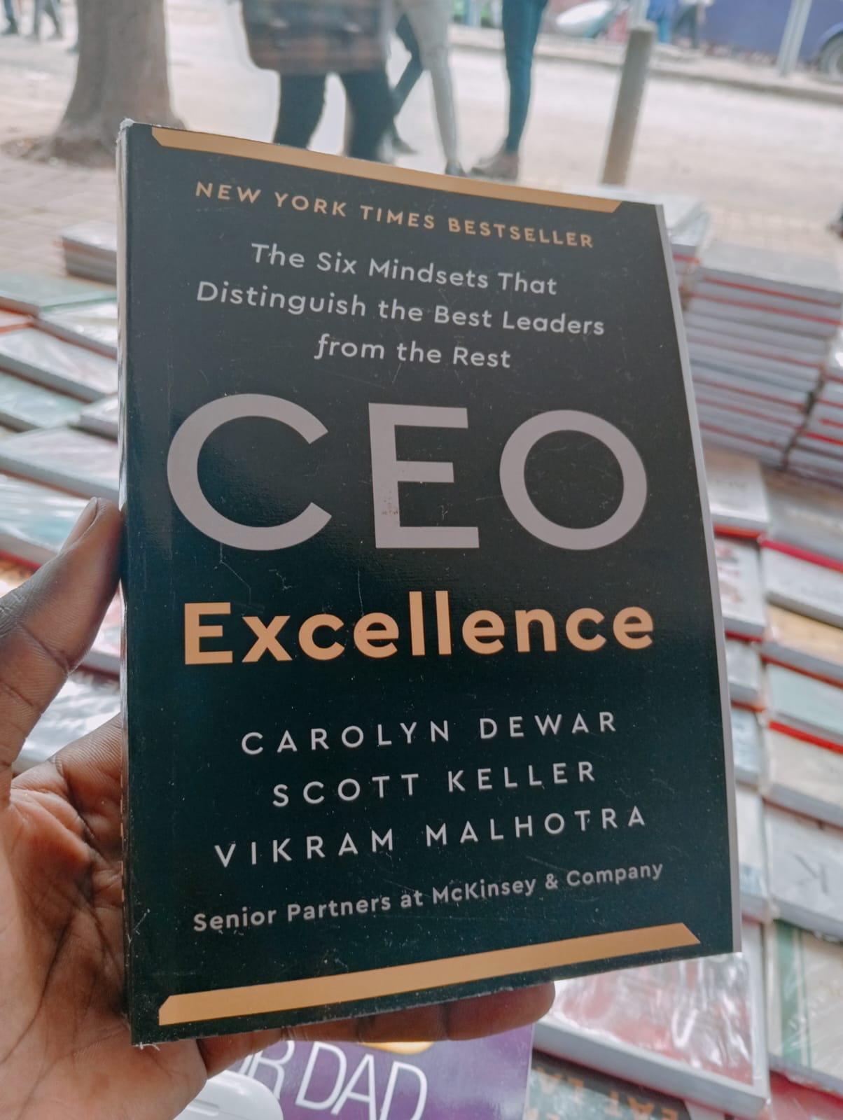 CEO Excellence: The Six Mindsets That Distinguish the Best Leaders from the Rest