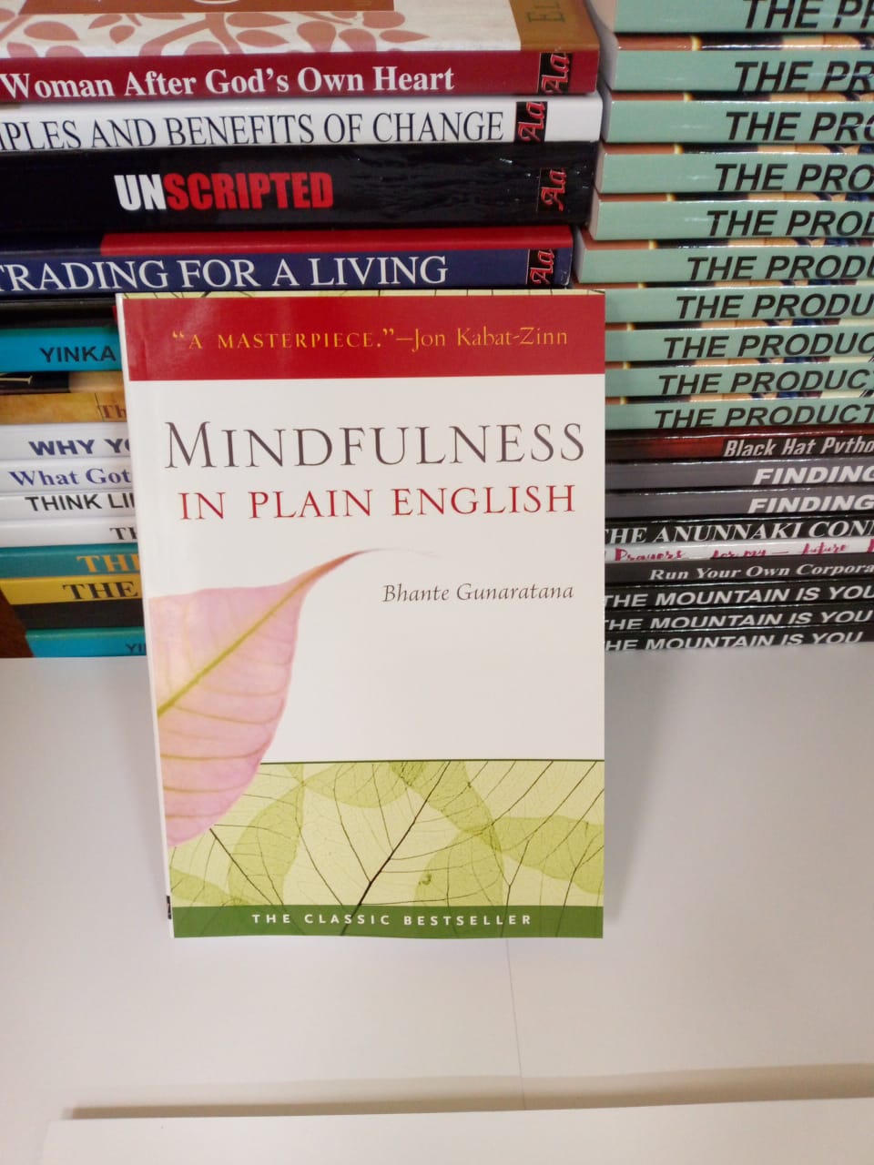 Mindfulness in Plain English