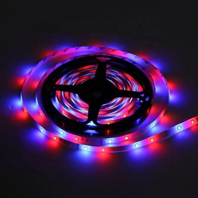 Premium Snake Light For Decorations