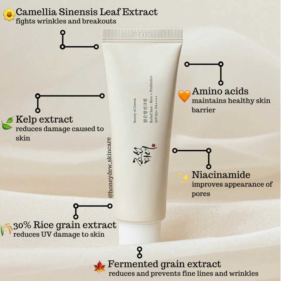 Beauty of Joseon Dynasty Cream for the face with Niacinamide & Squalane + Relief Sun Sunscreen (Rice + Probiotics) SPF50+. Prevent Aging, Clears Wrinkles, Pigmentation, Moisturizes & Sun Protection,