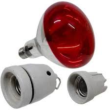 Chicken Infrared RED heat lamp light bulb + Free Porcelain Holder