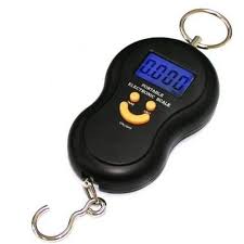 50Kg/110Lbs Electronic Portable LCD Digital Scale High Precision Luggage Weight Scale Balance Electronic Scale Digital Portable Hook 50Kg Weighing Scale