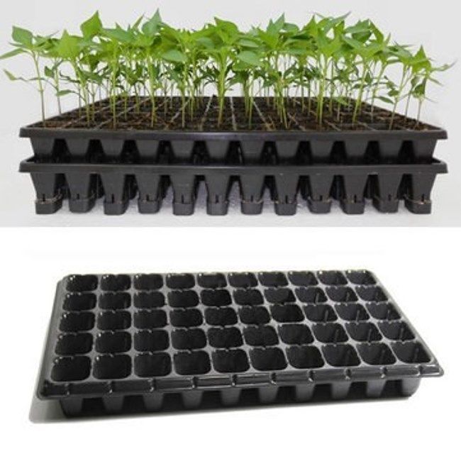 Seedling Tray for Germination – Flower & Plant Plug Starter Station for Home Gardening