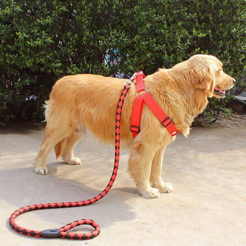 Adjustable Reflective Puppy Dog Harness Collar Chest Vest with Handle Training Walking Leash complete set