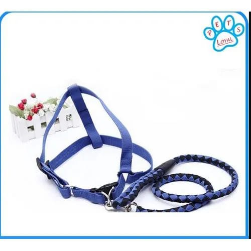 Walks made easy! 🐾 This Adjustable Step-in Dog Leash & Harness Set offers comfort, control, and style for your furry friend. Easy to wear, fully adjustable, and perfect for safe daily adventures!”