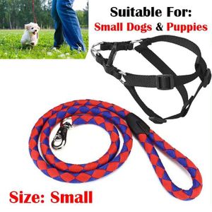 Adjustable No-Pull Dog Harness & Leash Set – Strong, Safe & Comfortable