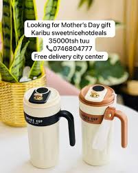 650ML Smart Temperature Display Travel Mug – Stainless Steel Vacuum Insulated Flask with LED Touch Lid – Leakproof Thermos for Coffee, Tea, Water – Office & Travel Use