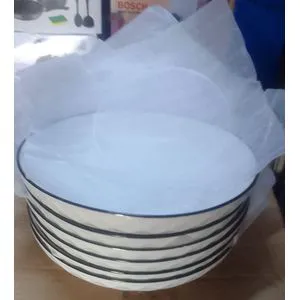 Set of 6 Ceramic Dinner Plates with Elegant Black Rim – 10.5" Round Plates for Modern Dining – Durable, Stylish, Microwave & Dishwasher Safe Porcelain Plates for Home, Hotel, or Restaurant