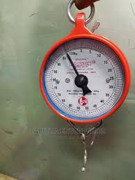 Heavy-Duty Analog Hanging Scale – 100KG Capacity | Industrial-Grade Mechanical Weighing Tool for Home, Market, Farm & Commercial Use