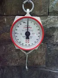 Heavy-Duty Analog Hanging Scale – 100KG Capacity | Industrial-Grade Mechanical Weighing Tool for Home, Market, Farm & Commercial Use