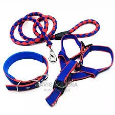 Adjustable No-Pull Dog Harness & Leash Set – Durable, Comfortable & Tangle-Free Control for Medium & Large Dogs | Ideal for Walks, Training & Outdoor Adventures