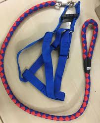 Adjustable 2-in-1 No-Pull Dog Harness & Leash Set – Durable, Comfortable & Tangle-Free Walking Solution for Medium to Large Dogs in Kenya