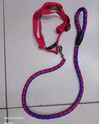 Adjustable 2-in-1 No-Pull Dog Harness & Leash Set – Durable, Comfortable & Tangle-Free Walking Solution for Medium to Large Dogs in Kenya