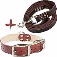 Premium PU Leather Dog Leash & Collar Set – Elegant, Durable & Comfortable for Everyday Use in Kenya