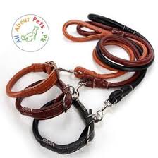 Premium PU Leather Dog Leash & Collar Set – Elegant, Durable & Comfortable for Everyday Use in Kenya