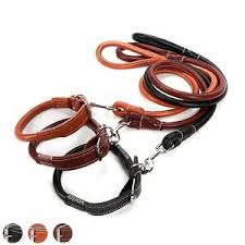 Premium PU Leather Dog Leash & Collar Set – Elegant, Durable & Comfortable for Everyday Use in Kenya