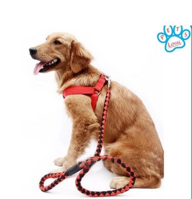 Pet High Quality Nylon Dog Harness And Leash Double Layer