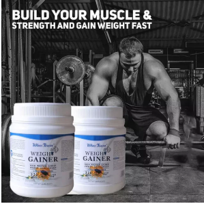 WINSTOWN Weight Gainer Powder (450g Pack, 25g Protein, 60g Carbs) – Dietary Supplement for Muscle Mass, Weight Gain, and Muscle Recovery