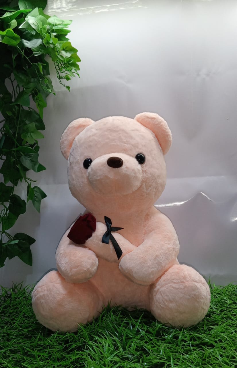 HUGS THAT LAST FOREVER-PERFECT GIFT FOR ADULTS AND KIDS ALIKE-DON’T MISS OUT-ADOPT A TEDDY BEAR