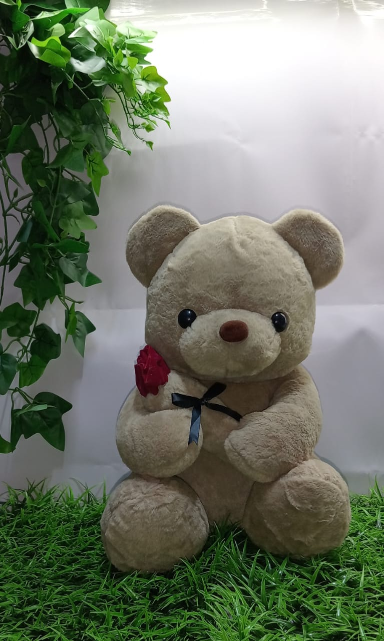 HUGS THAT LAST FOREVER-PERFECT GIFT FOR ADULTS AND KIDS ALIKE-DON’T MISS OUT-ADOPT A TEDDY BEAR