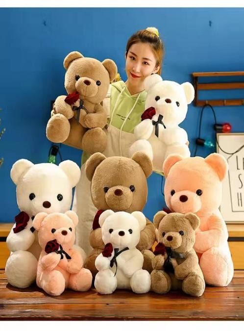 HUGS THAT LAST FOREVER-PERFECT GIFT FOR ADULTS AND KIDS ALIKE-DON’T MISS OUT-ADOPT A TEDDY BEAR