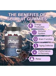 Shilajit vegan 60 gummies, a dietary supplement sourced from the Himalayan Mountains.Daynee Shilajit: The Natural Choice for Boosting Immunity, Anti-Aging, and Enhancing physical performance