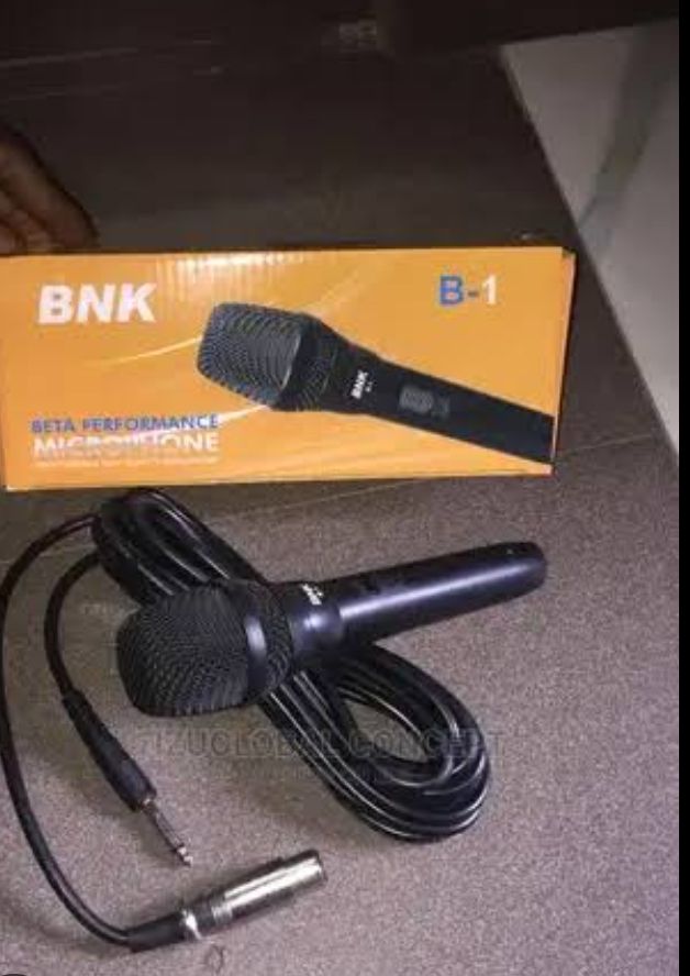 Bnk Professional Wired Mic B1