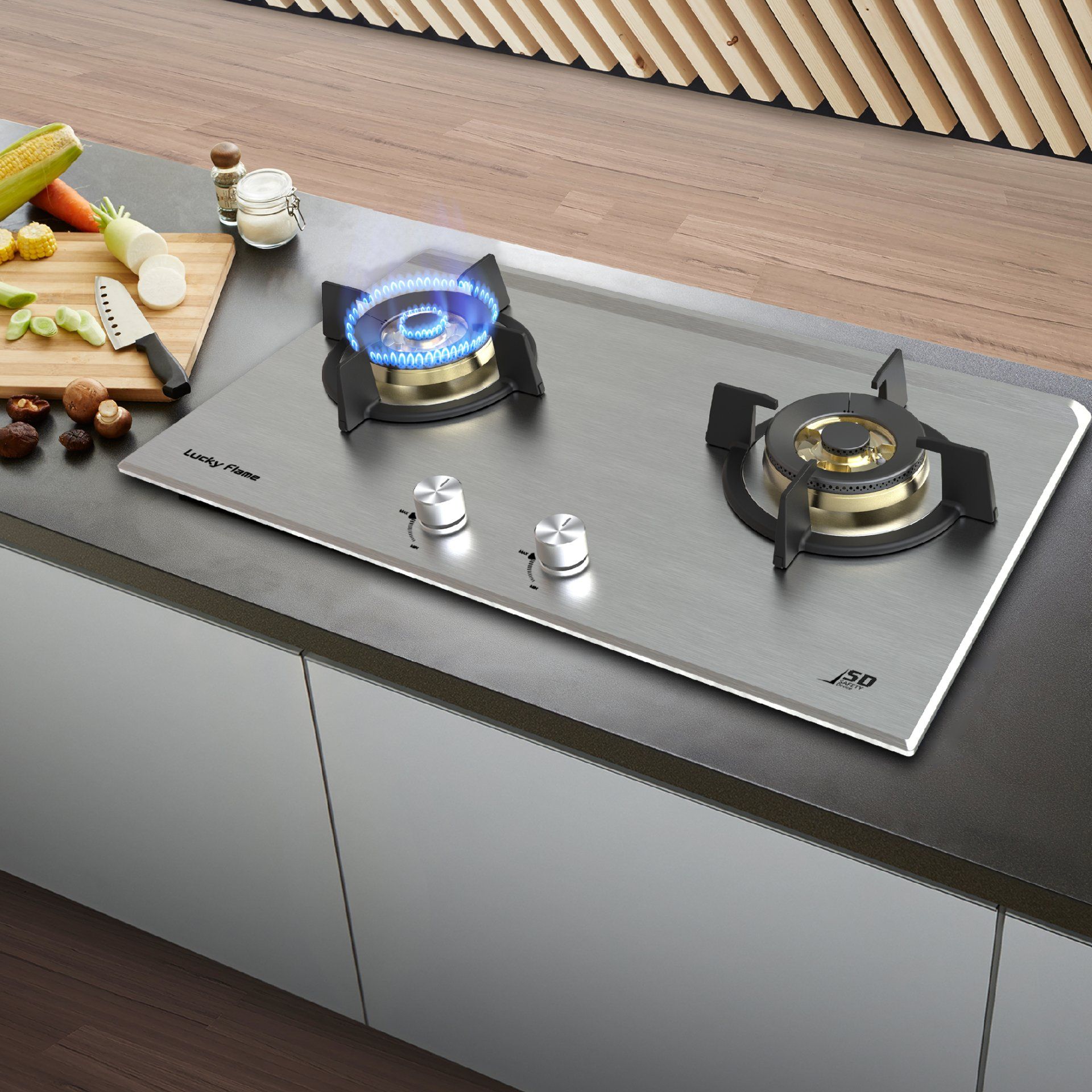 2 Burner Stainless Steel Hob Cooker inbuilt cooker