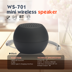 WS New Model Mini Wireless Speaker WS-701 WSTER 3W bluetooth Speaker Type c Port Cheap Price Speaker a compact, mini wireless speaker designed for portability.