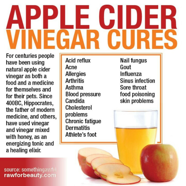 Bragg Apple Cider Vinegar Organic, Raw/Unfiltered, With ' The Mother'-473ml is full of zesty natural goodness and contains the amazing 'mother' of vinegar which occurs naturally as connected strand .