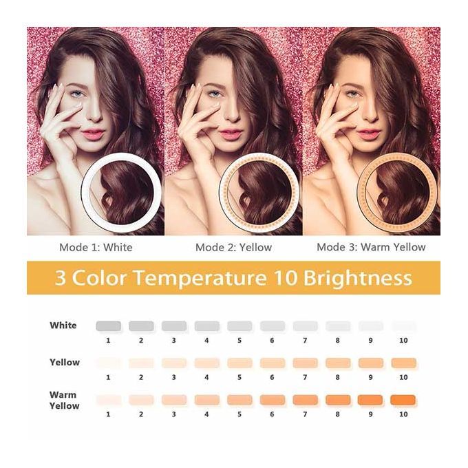 10 Inch LED Ring Light + 3120 Tripod + Remote