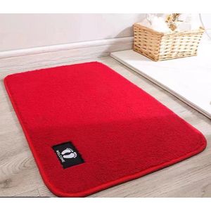 Absorbent AntiSlip Door Mat,Bathroom Mat, Bedroom Mat