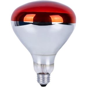 Red Infrared Heat Chicken Bulb - 6000 Hours For Animal Health In Professional Farm Garages