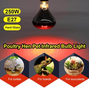 Red Infrared Heat Chicken Bulb - 6000 Hours For Animal Health In Professional Farm Garages