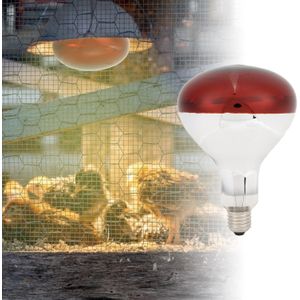 Red Infrared Heat Chicken Bulb - 6000 Hours For Animal Health In Professional Farm Garages