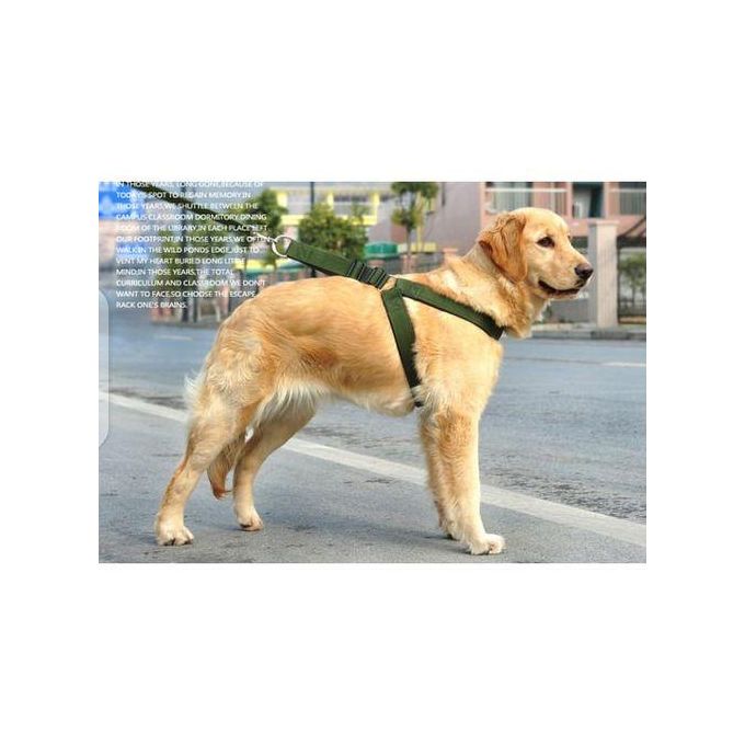 High-Quality Nylon Dog Harness & Leash Set – Double Layer. Reinforced for added safety and durability. Comfortable & Secure – Gentle on your pet while offering full control. Includes matching harness