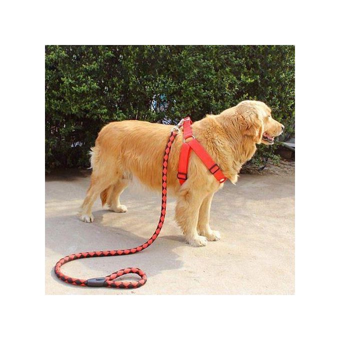 High-Quality Nylon Dog Harness & Leash Set – Double Layer. Reinforced for added safety and durability. Comfortable & Secure – Gentle on your pet while offering full control. Includes matching harness