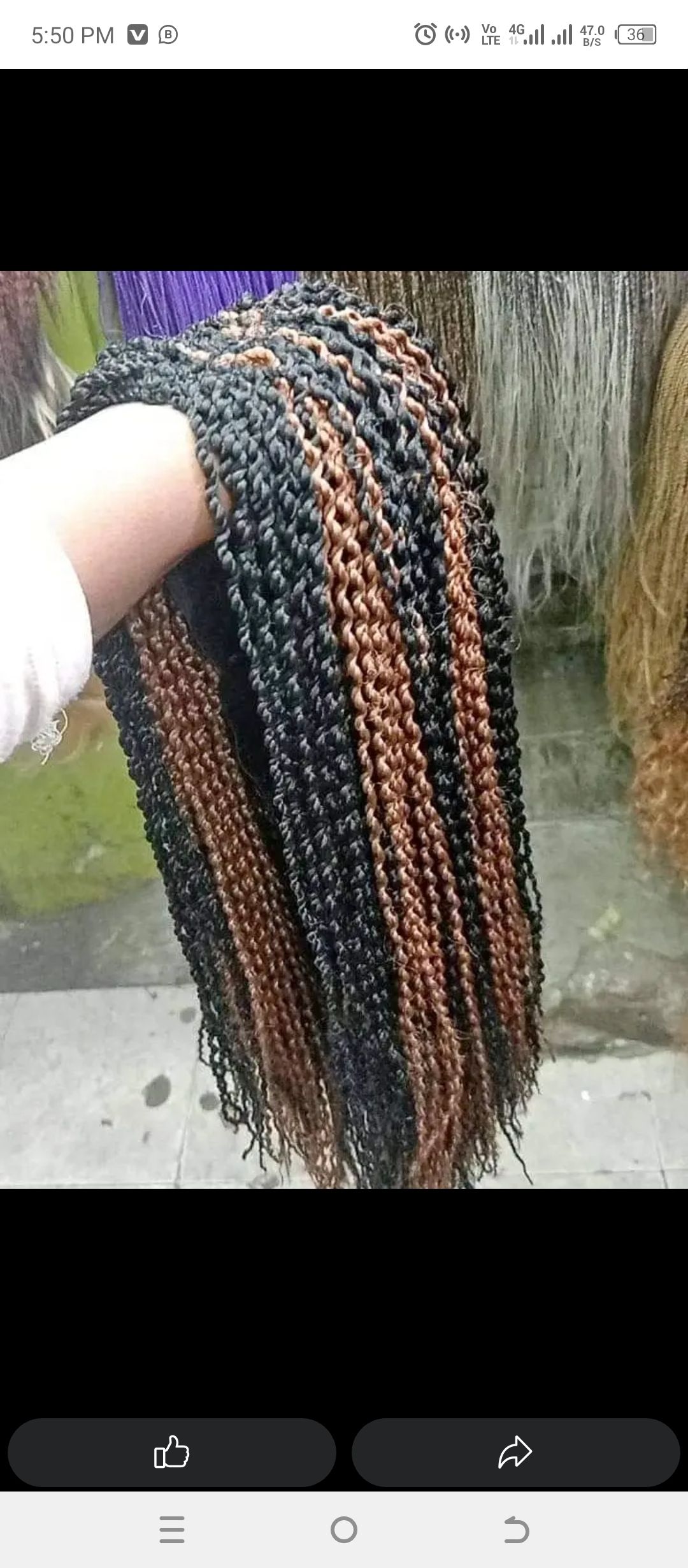 Spring twist wig