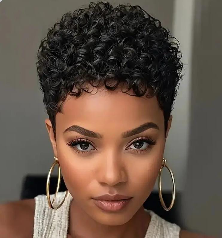 Short curly human hair wig