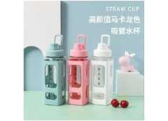 Plastic Straw  Sports Water Bottles - Portable Anti-wrestling Hand-held Water Cup
