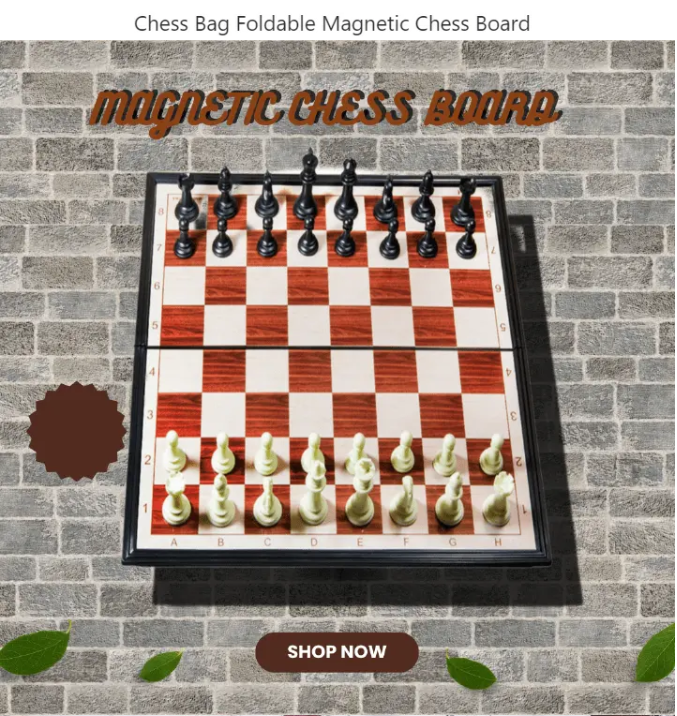 Chess Brains Magnetic Chess Set with Folding Chess Board Educational Toys for Kids and Adults Board Game