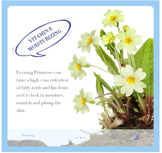Sadoer Evening Primrose & Vitamin E Face Cream | Deep Nourishing Night Treatment for Youthful, Glowing Skin